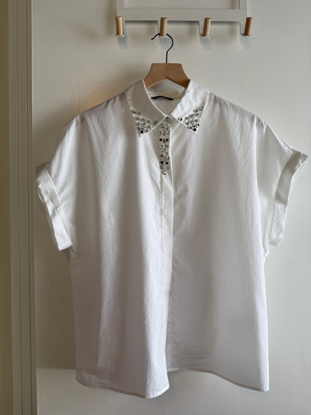 Zara: Jeweled Collar Button Down